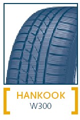 Hankook W300